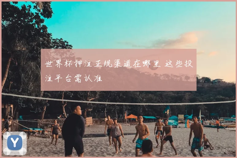 世界杯押注正规渠道在哪里 这些投注平台需认准