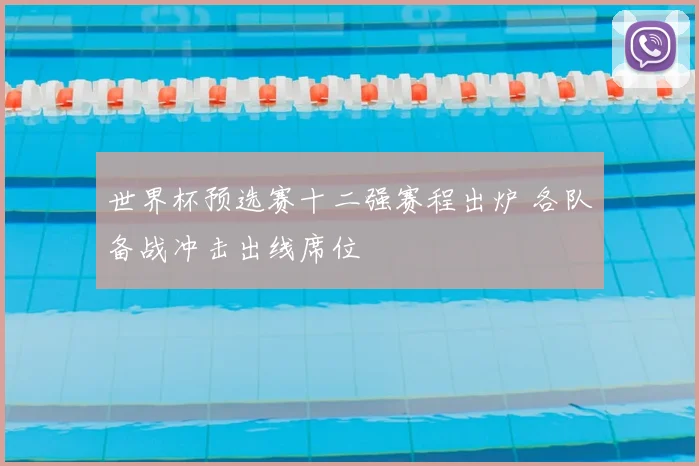 世界杯预选赛十二强赛程出炉 各队备战冲击出线席位