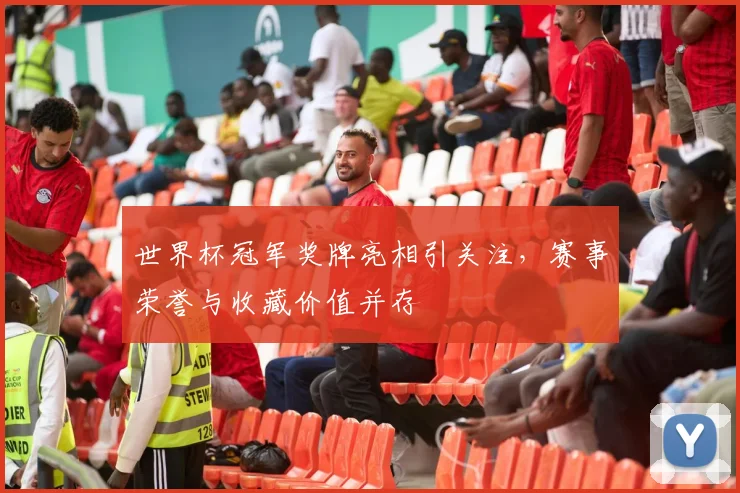 世界杯冠军奖牌亮相引关注,赛事荣誉与收藏价值并存
