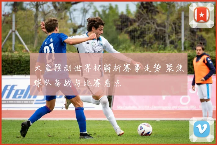 大鱼预测世界杯解析赛事走势 聚焦球队备战与比赛看点